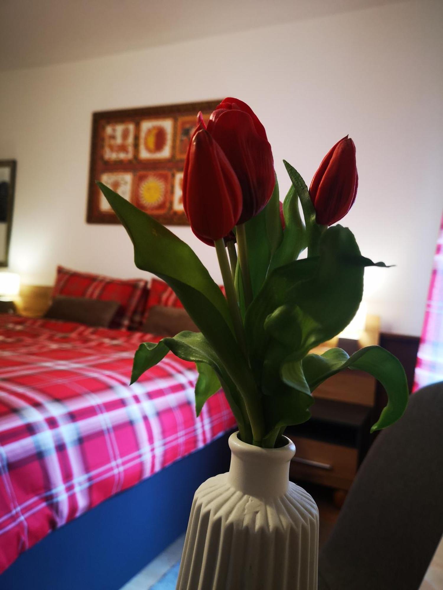 Rosy'S House B&B Bad Goisern Chambre photo